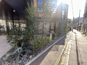 ibb Bloom Tenjin剪定を行いました！